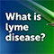 Lyme Disease Information